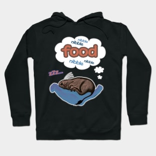 Dreamy degu Hoodie